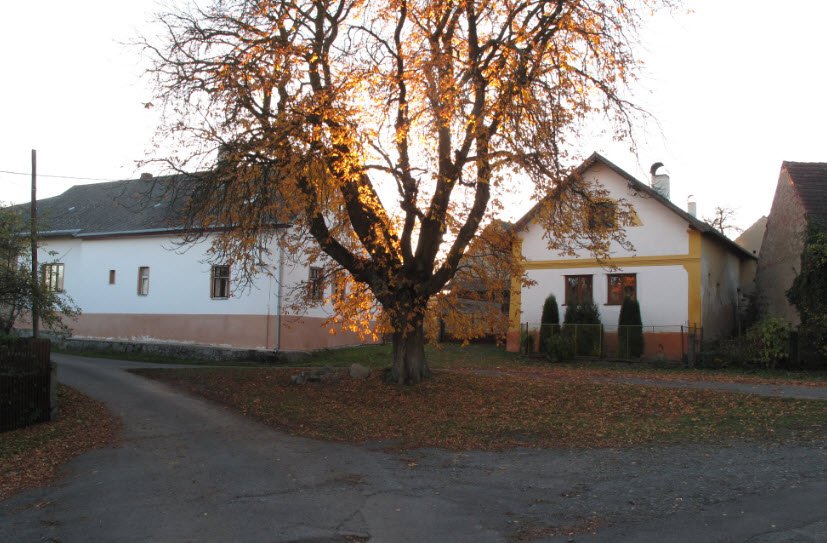 Mladý Smolivec, Czech Republic (Czechia)